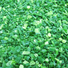 IQF Frozen Spring Onion Dices High Quality